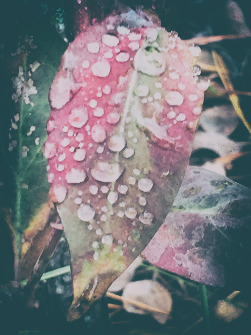 A Whisper, a Confession, a Thank&nbsp;you