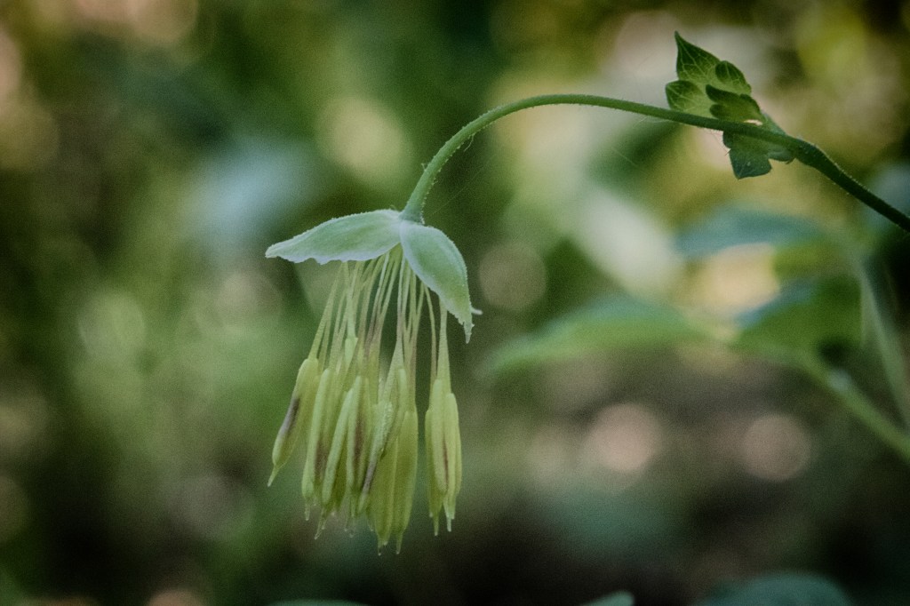 Finding Treasures in Quiet&nbsp;Moments