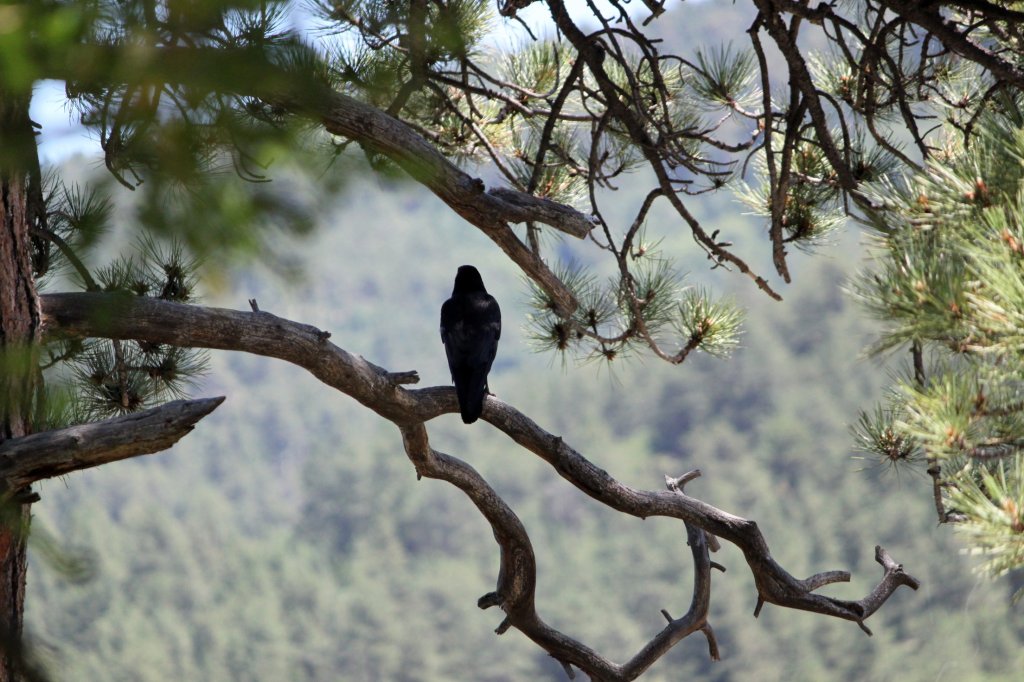 Quiet Longing: Between Who We Are and Who We Dream to&nbsp;Be