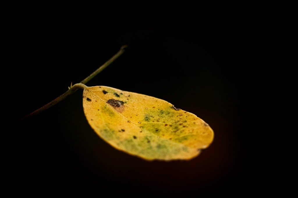 To Bask in Quiet&nbsp;Beauty