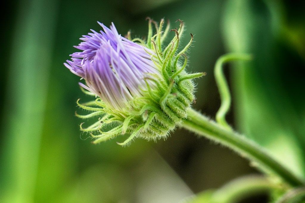 Too Much, They Might Say