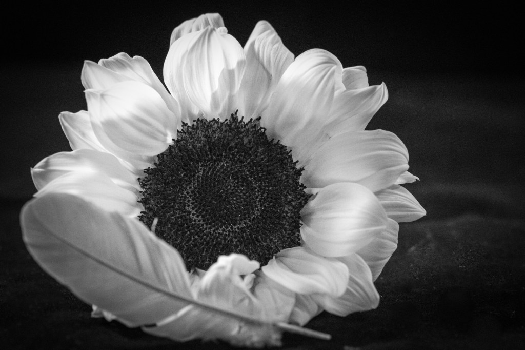 The Voice That Saved&nbsp;Me