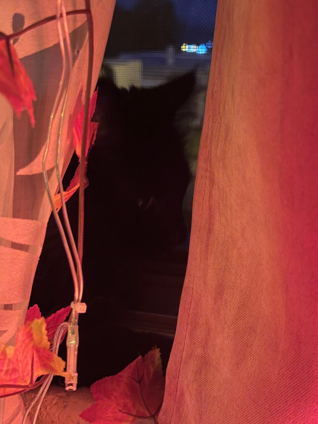 Mysterious, Midnight