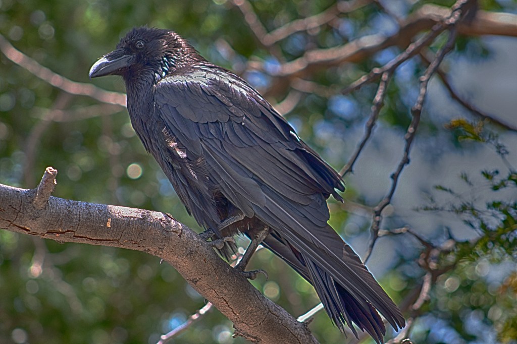 I Planted Wildflowers