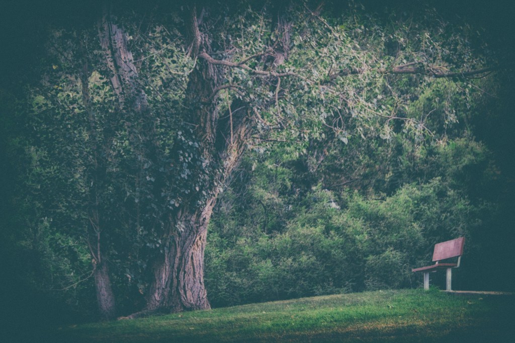 Who Placed These Stars in My&nbsp;Chest