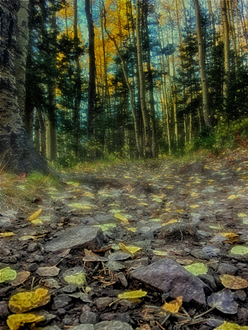 A Litany of Questions