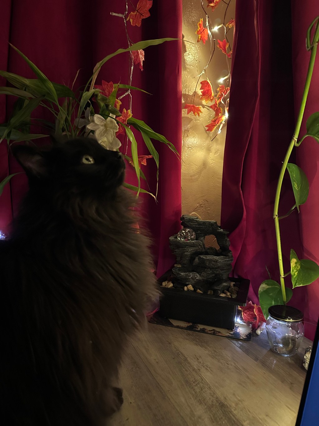 The Sanctuary at My&nbsp;Window