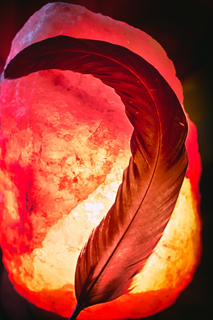 A deep red feather rests against the warm glow of a Himalayan salt lamp, its curves illuminated by light that shifts from gold to ember. The scene feels both gentle and powerful, an image of stillness meeting fire, symbolizing the union of softness and strength, the feather and the flame.