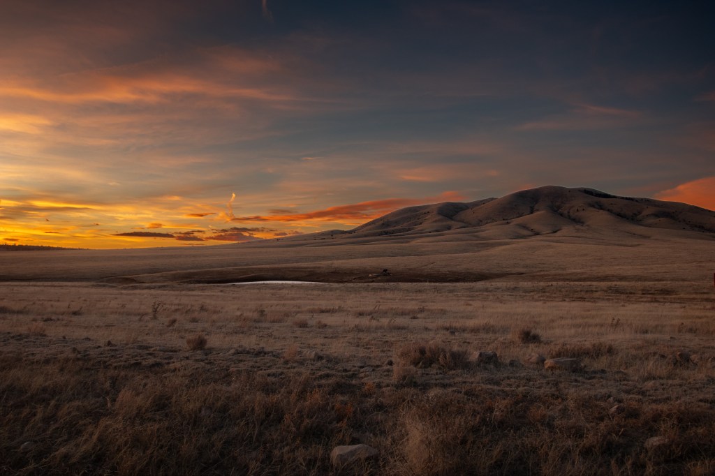 Tonight’s Truth: Nesting into&nbsp;Quiet